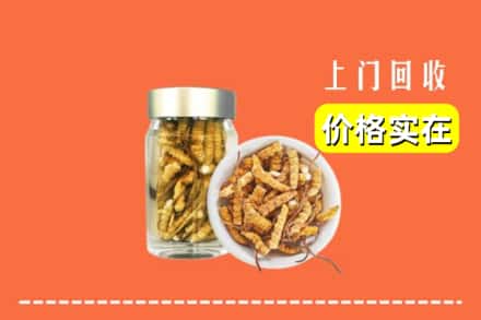 德阳广汉市回收散虫草