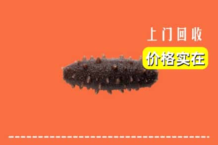 德阳广汉市回收海参