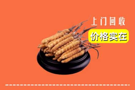 德阳广汉市回收冬虫夏草